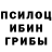 Галлюциногенные грибы мухоморы Dallas Beck