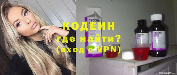 индика Балахна