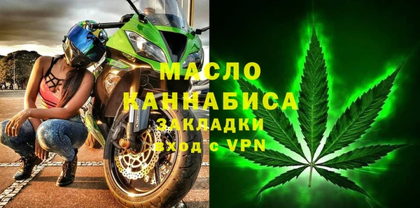 индика Балахна