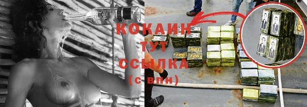 индика Балахна