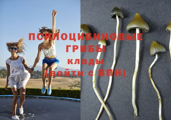 индика Балахна