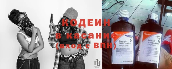 индика Балахна