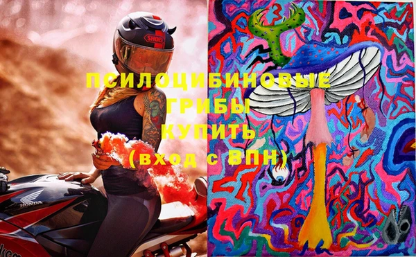 индика Балахна