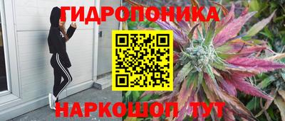марихуана Ставрополь