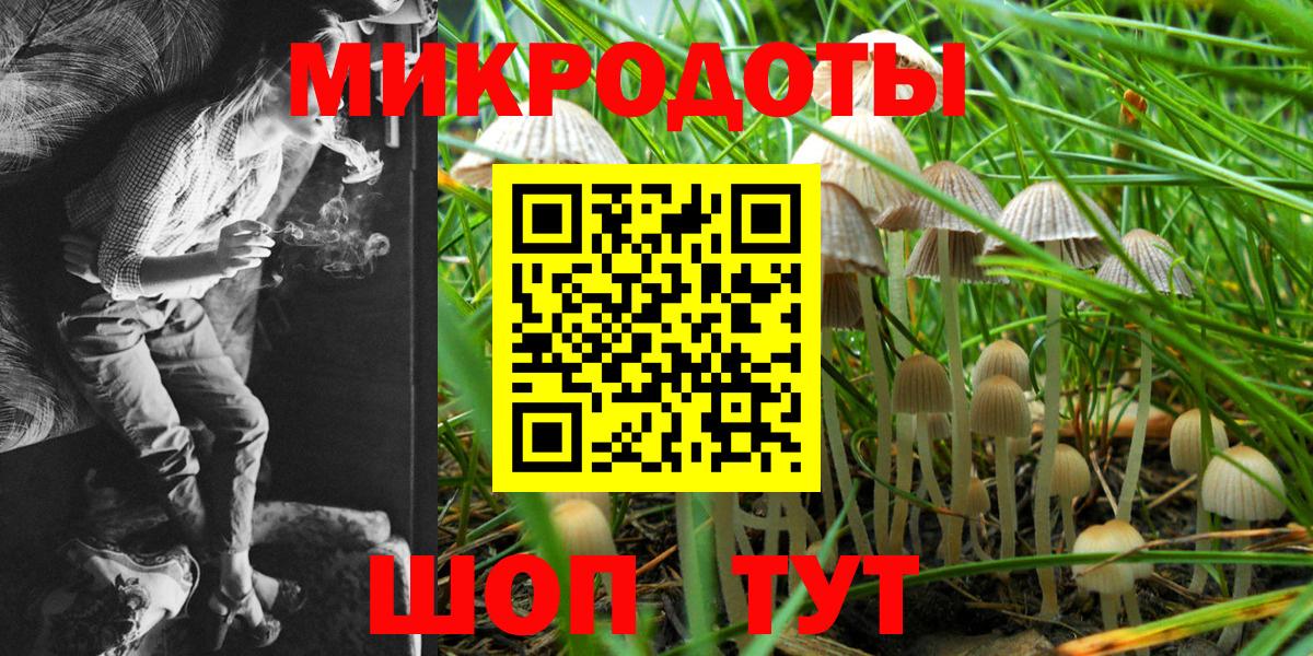 Пятигорск  Псилоцибиновые грибы Magic Shrooms  Вход с VPN  Псилоцибиновые грибы мухоморы 